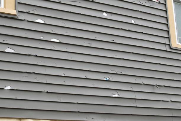 Best Steel Siding Installation  in Huntington, VA